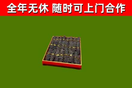 甘南县回收海参